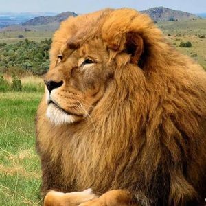 Meet your Posher, Rodney